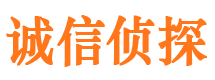 西平市侦探